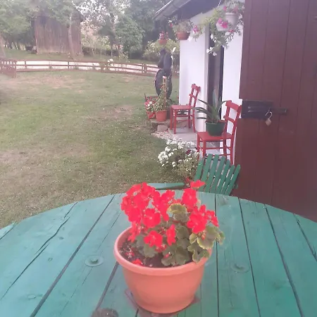 Family Friendly House With A Parking Space Zakrajc Brodski, Gorski Kotar - 20569 Ferienhaus *