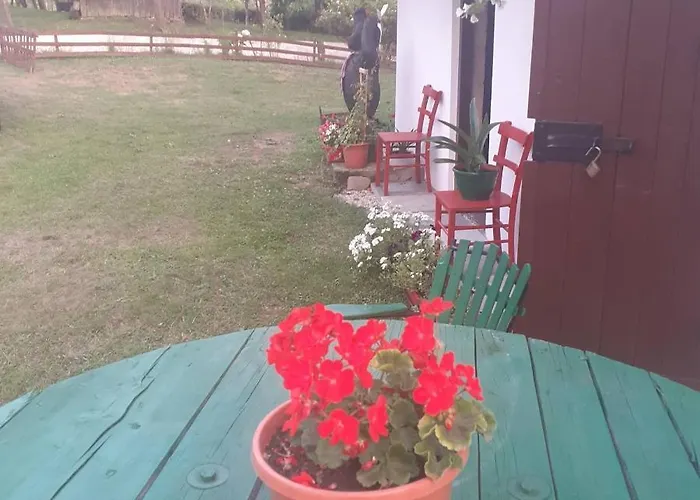 Family Friendly House With A Parking Space Zakrajc Brodski, Gorski Kotar - 20569 Feriehus *